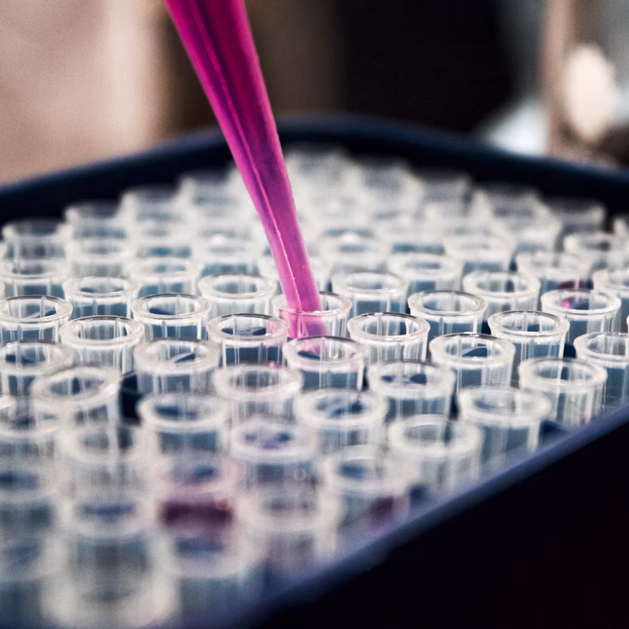 Pipette remplissant une plaque de microtubes